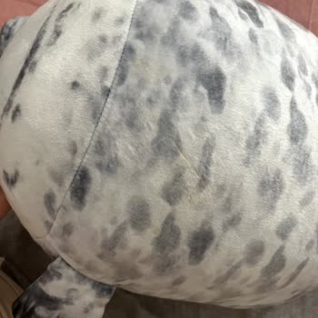 Lekeli Peluş Oyuncak İadesi Reddedildi Ve Ücret İadesi Talebi