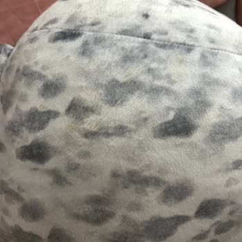 Lekeli Peluş Oyuncak İadesi Reddedildi Ve Ücret İadesi Talebi