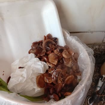 Getir Yiyeceklerde Hijyen Sorunu Var