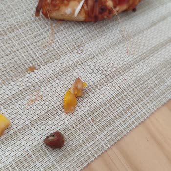 Zeytin Çekirdeği İçeren Donmuş Pizza, Diş Kırma Riski Ve Kalite Kontrol Sorunu