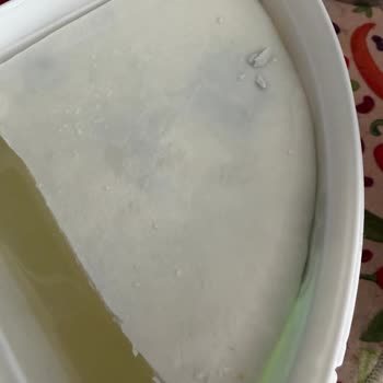 Denizli A101 Şubesinde Bozulmuş Peynir Satışı, Ücret İadesi Talebi