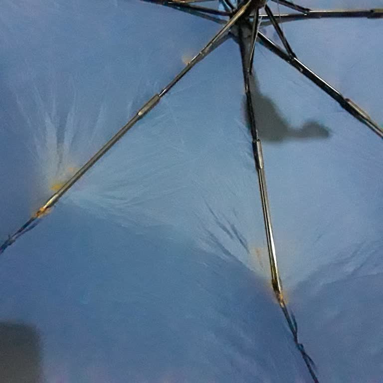 LCW Şemsiyesinde Hızlı Paslanma Ve Küflenme Ürün Kalitesine Güveni Sarsıyor