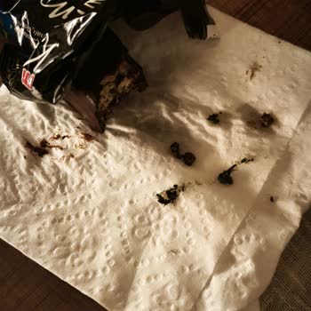 Eti Karam Bitter Çikolatada Odun Ve Çimen Parçacıkları Bulundu