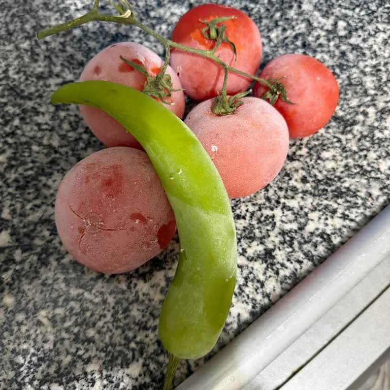 Çerkezköy'de Profilo Buzdolabı Sürekli Donuyor, Değişim Talebi