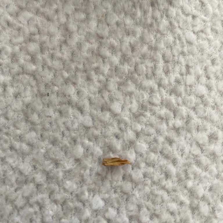 Ciltten Yabancı Madde Tespiti Ve Güvenlik Şikayeti