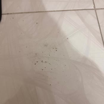 Bosch Unlimited 7 Dikey Süpürge Kirletiyor, Çözüm Bulunamadığı İçin İade Talebi