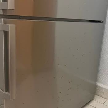 Garanti Kapsamındaki Buzdolabında Pas Lekeleri Ve Yetkili Servisin Kullanıcı Hatası İddiası