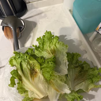 File Market Marulunda Görünmeyen Çürüklük Müşteriyi Hayal Kırıklığına Sürükledi