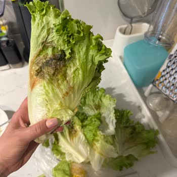 File Market Marulunda Görünmeyen Çürüklük Müşteriyi Hayal Kırıklığına Sürükledi