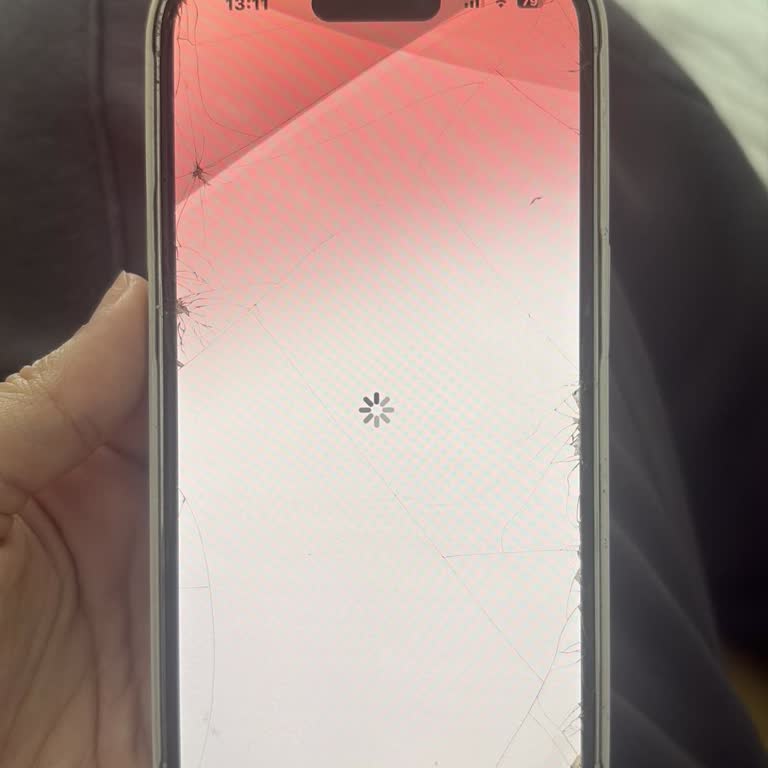 E-Görüş Sayfasına Girişte Hata Kodu E0006