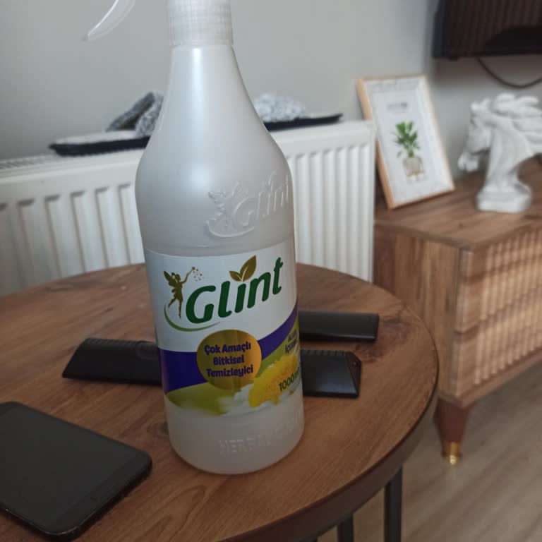 İzinsiz Banyo Kullanımı Ve Yetersiz Koltuk Yıkama Hizmeti Nedeniyle Tam İade Talebi