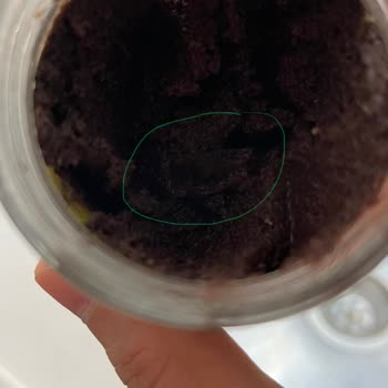 Şok Markette Zeytin Ezmesi İçinde Kırık Cam Parçası Bulundu Çocuğum Tehlikede