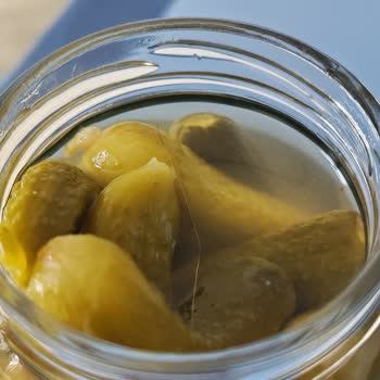 Berrak Kornişon Turşusunda Kıl Bulundu, Hijyen Sorunu Ve İade Talebi