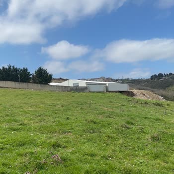 Kadastro Yolunun Haksızca Devredilmesi Ve Hazine Arazisinin İşgali İçin Acil Müdahale Talebi