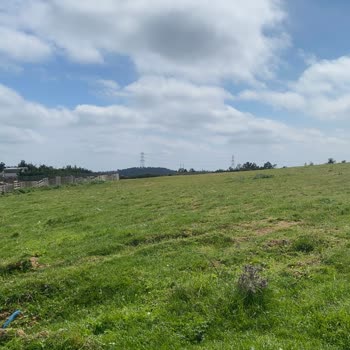 Kadastro Yolunun Haksızca Devredilmesi Ve Hazine Arazisinin İşgali İçin Acil Müdahale Talebi