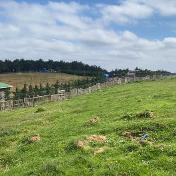 Kadastro Yolunun Haksızca Devredilmesi Ve Hazine Arazisinin İşgali İçin Acil Müdahale Talebi