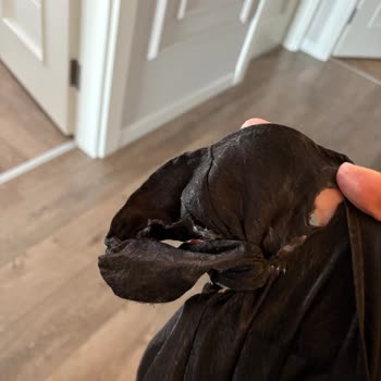 Vestel Çamaşır Makinesi Sürekli Arızalı Ve Yetersiz Müşteri Desteği