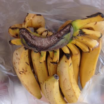 Migros Online Siparişlerde Sürekli Yanlış Ürün Ve Yetersiz Müşteri Desteği