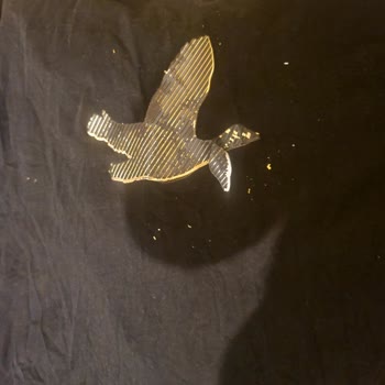 Baskısı Bozulmuş Tişört İçin Ürün Değişimi Talebi