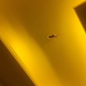 Gümüş İnşaat (İzmir)'tan Aldığım Dairede Eksik Priz, Ses Yalıtımsızlığı ve Su Sızıntısı