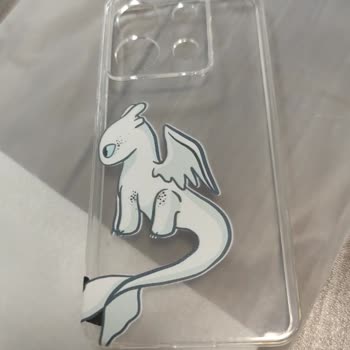 Krem Renk Kılıf Yerine Şeffaf Ürün Gönderildi, Geri Dönüş Alınamadı