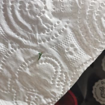 Harras Burger Etinde Yeşil Plastik Parça: Gıda Güvenliği İhlali Ve İade Talebi