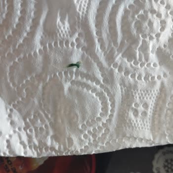 Harras Burger Etinde Yeşil Plastik Parça: Gıda Güvenliği İhlali Ve İade Talebi