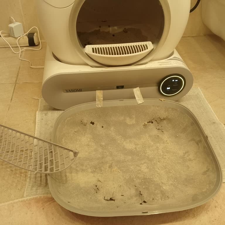 Smart Cat Litter Kedi Tuvaletinde Tasarım Hatası Ve Kum Dökülmesi