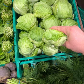 Migros Çerkezköy Kipa’da Küçük Marul Ve Uygunsuz Fiyat Şikayeti