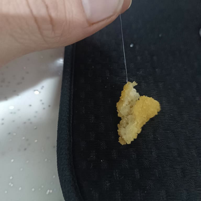 Kayseri Gross Market Lezita Soğan Halkasında Yabancı Madde Tespiti