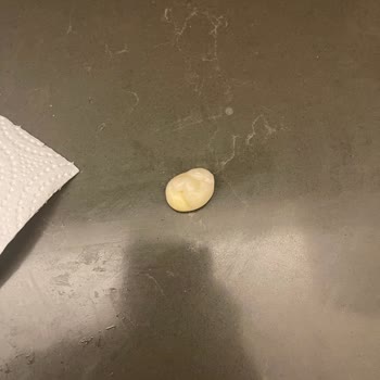 Migros’ta Organik Yumurta İçinde Tavuk Embriyosu Tespit Edildi