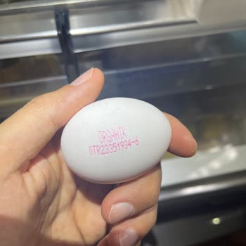 Migros’ta Organik Yumurta İçinde Tavuk Embriyosu Tespit Edildi