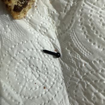 Ülker Saklıköy Ürününde Çivi Gibi Sert Parça Bulundu