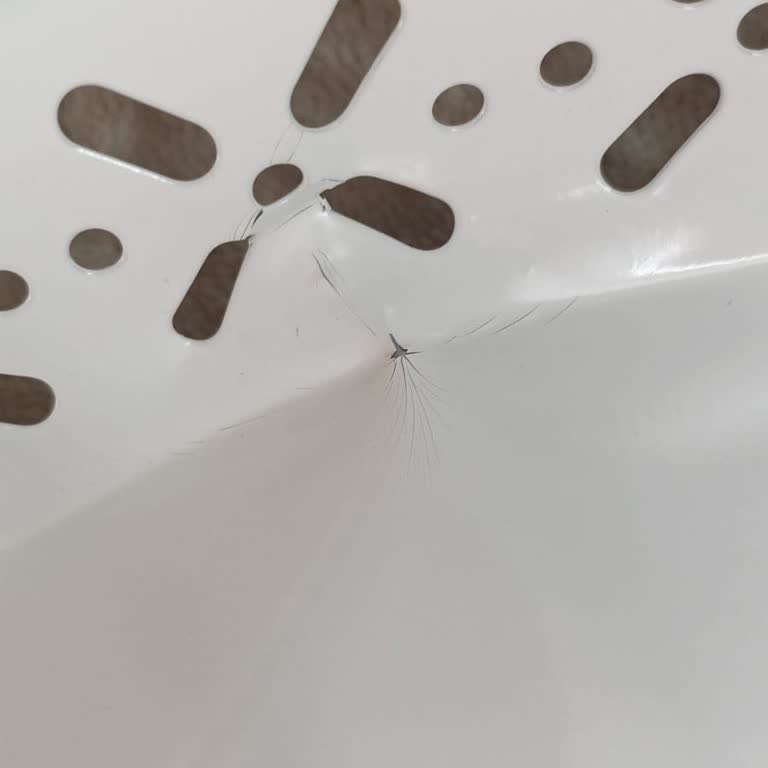 Kırık Ürün Teslimatı Ve Satıcı Tavırlarından Memnuniyetsizlik