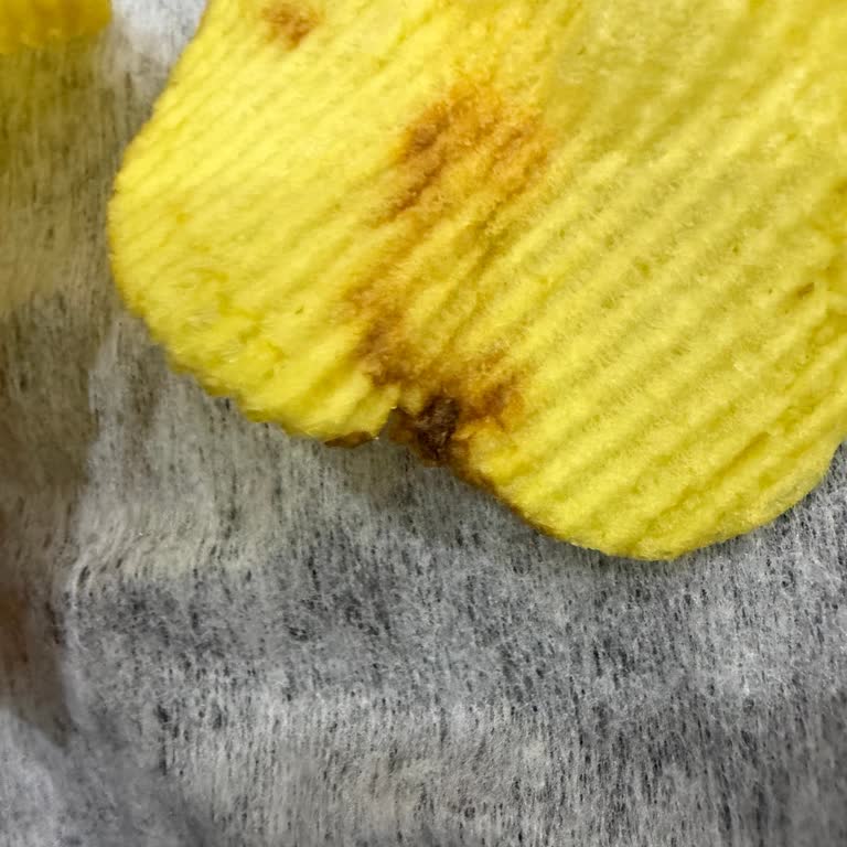 Aşırı Kızarmış Cips Ve Yabancı Tüy Benzeri Maddeler Nedeniyle Hijyen Şikayeti