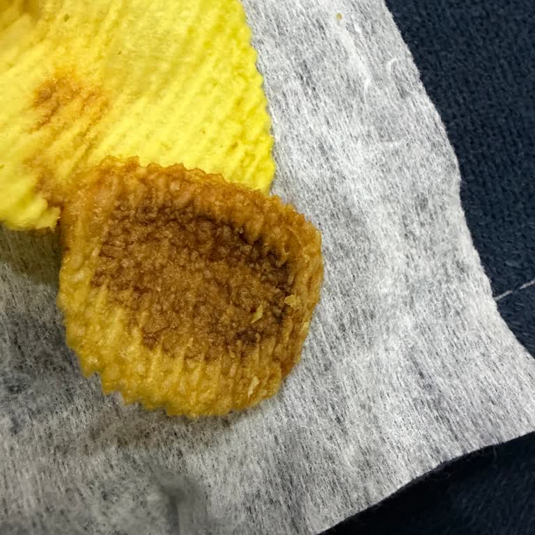 Aşırı Kızarmış Cips Ve Yabancı Tüy Benzeri Maddeler Nedeniyle Hijyen Şikayeti