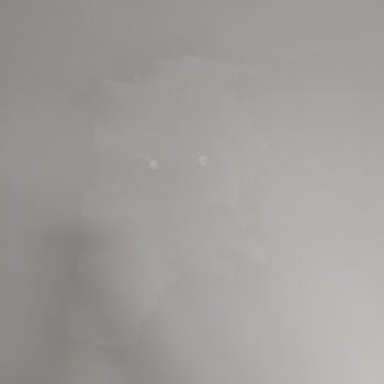 Mak Emlak Bandırma Emlakçının Yanlış Yönlendirmesi Nedeniyle Mağduriyet Yaşamaktayım