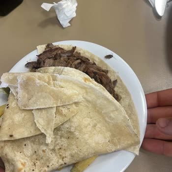 Köfteci Yusuf Şubesinde Dönerde Hamam Böceği Görülmesi