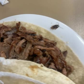 Köfteci Yusuf Şubesinde Dönerde Hamam Böceği Görülmesi