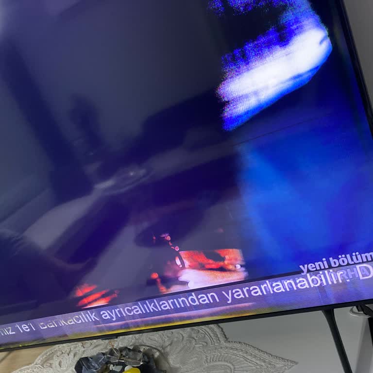 Garanti Sonrası Panel Arızası Tekrarı, Ücretsiz Düzeltme Talebi