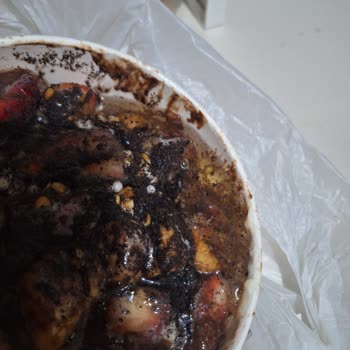 Shabby Street Food Kadıköy Çilekli Waffle'in Yarım Pişmiş Ve Yağlı Sosu Mide Krampına Neden Oldu