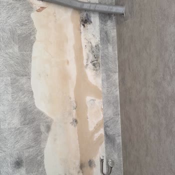 TCL Klimasında Su Sızıntısı Duvarı Aşındırdı, Küf Oluşturdu Ve Müşteri Hizmetleri Cevap Vermiyor