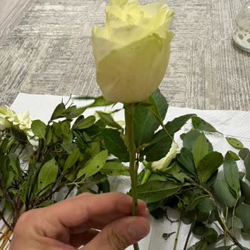 Görseliyle Uyuşmayan Solmuş Çiçek Teslimatı Ve Tam İade Talebi