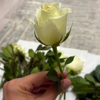 Görseliyle Uyuşmayan Solmuş Çiçek Teslimatı Ve Tam İade Talebi