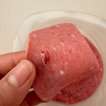 Namet Salamı İçinde Kıl Bulunması Ve Yetersiz İlgilenme