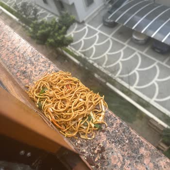 Hijyen Sorunu Ve Teslimat Sistemindeki Eksiklik Nedeniyle Tam Ücret İadesi Talebi