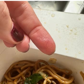 Hijyen Sorunu Ve Teslimat Sistemindeki Eksiklik Nedeniyle Tam Ücret İadesi Talebi