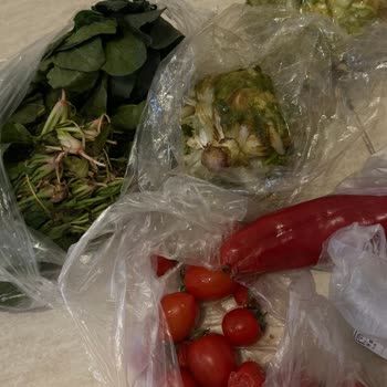 Getir’da Bozuk Ürünler Ve Cevapsız İade Süreci