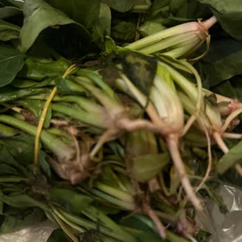 Getir’da Bozuk Ürünler Ve Cevapsız İade Süreci