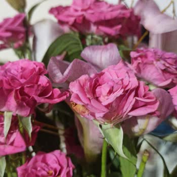 Çiçek Sepeti'nde Hızla Solan Çiçek, Çözüm Yok